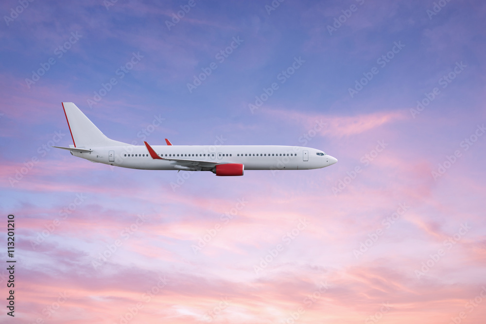 Fototapeta premium Airplane plane