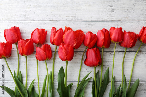 tulips on white wooden background