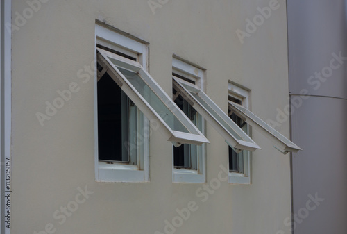 Tree Ventilation Windows