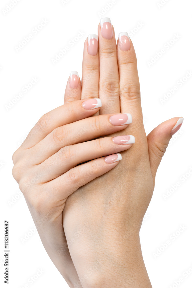 Female hands with french manicure Female hands with french manicure