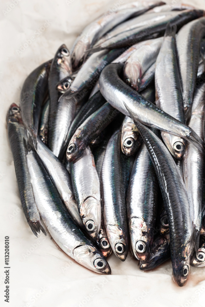 Obraz premium FRESH ANCHOVIES OVER WHITE PAPER