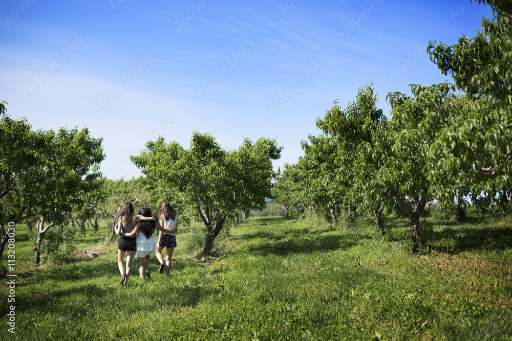 Rear view of friends walking on grassy field in park Rear view of friends walking on grassy field in park