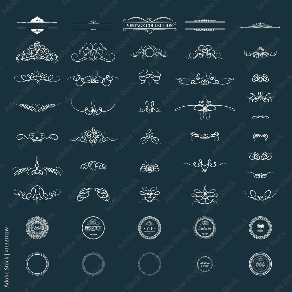 Calligraphic design elements and wicker lines in vector Calligraphic design elements and wicker lines in vector