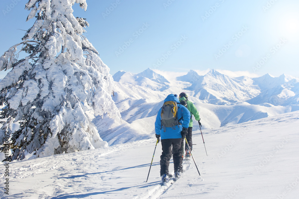 Rear view of friends with ski poles walking on snow covered field Rear view of friends with ski poles walking on snow covered field
