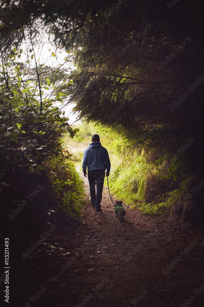 Rear view of man walking with dog in forest Rear view of man walking with dog in forest