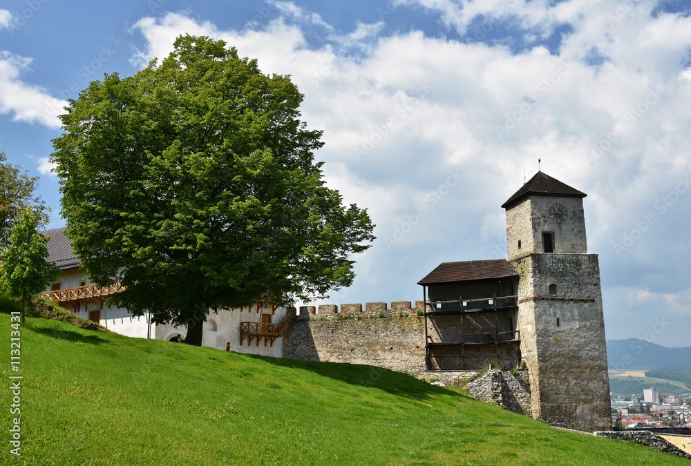 Trencin Castle, Europe-Slovak Republic. Beautiful old architecture.