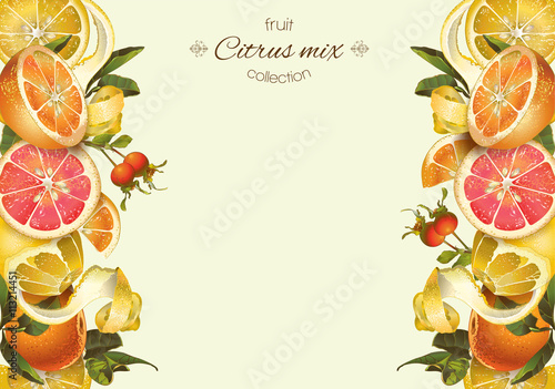 Vector vintage citrus banner with lemon, hibiscus and rose hip.Design for tea, juice, natural cosmetics, baking,candy and sweets with citrus filling,grocery,health care products. With place for text.