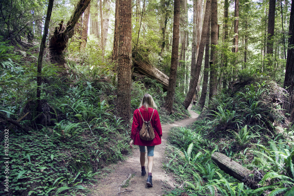 Rear view of a woman walking in forest Rear view of a woman walking in forest