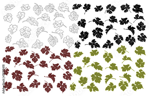 Set the grape leaves. Isolated leaves of grapes on a white background.