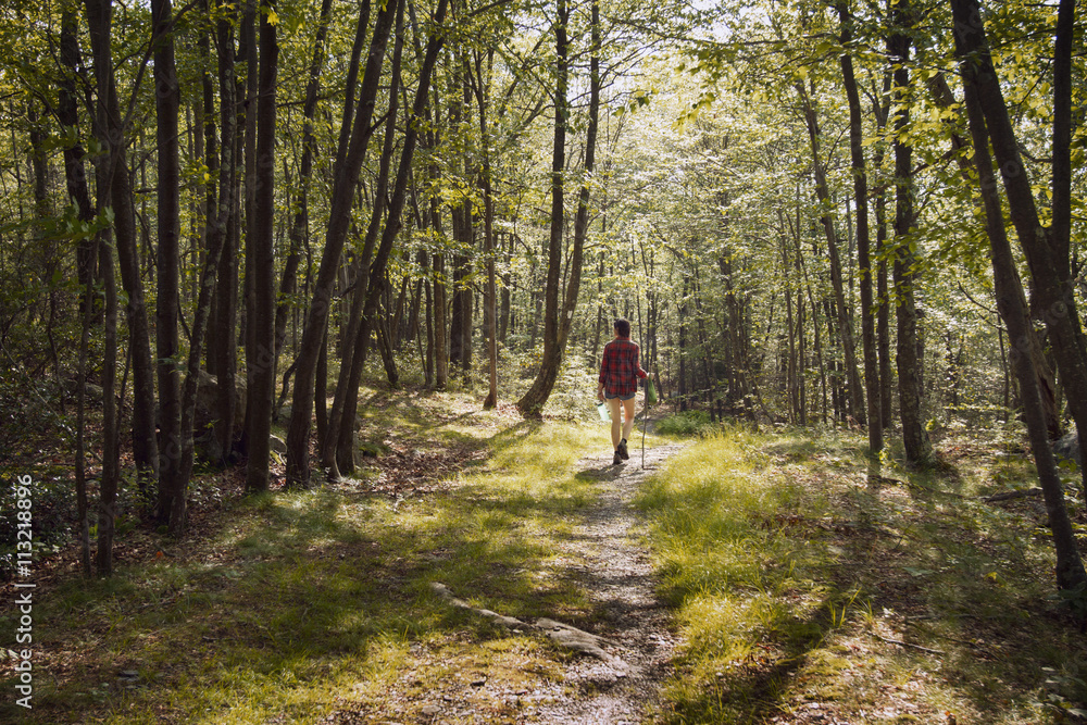 © Cavan Images - Woman walking in forest