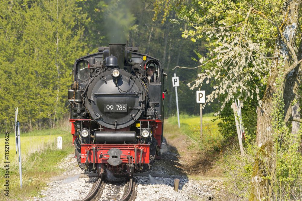 Fototapeta premium Öchsle Railway | Górna Szwabia