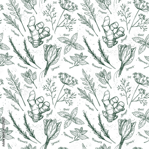 Hand drawn vector. Seamless pattern with herbs and spices.