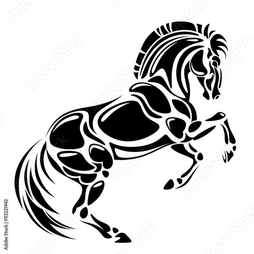 Black horse