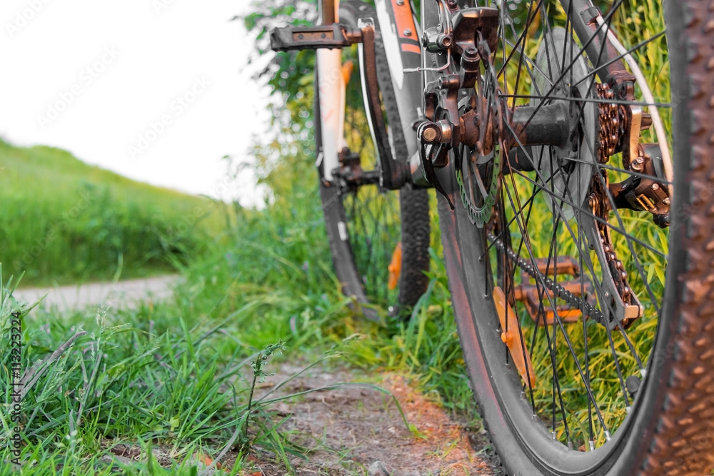 bicycle rear view on a background of grass and road bicycle rear view on a background of grass and road