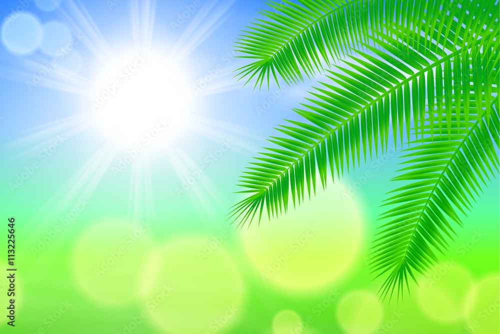 Fototapeta premium Sunny background with palm leaves