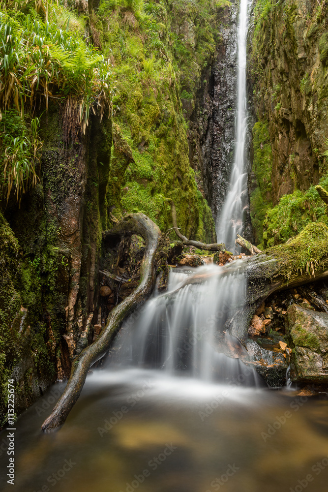 Tall woodland waterfall with small cascade. Scale Force, Lake District, UK.