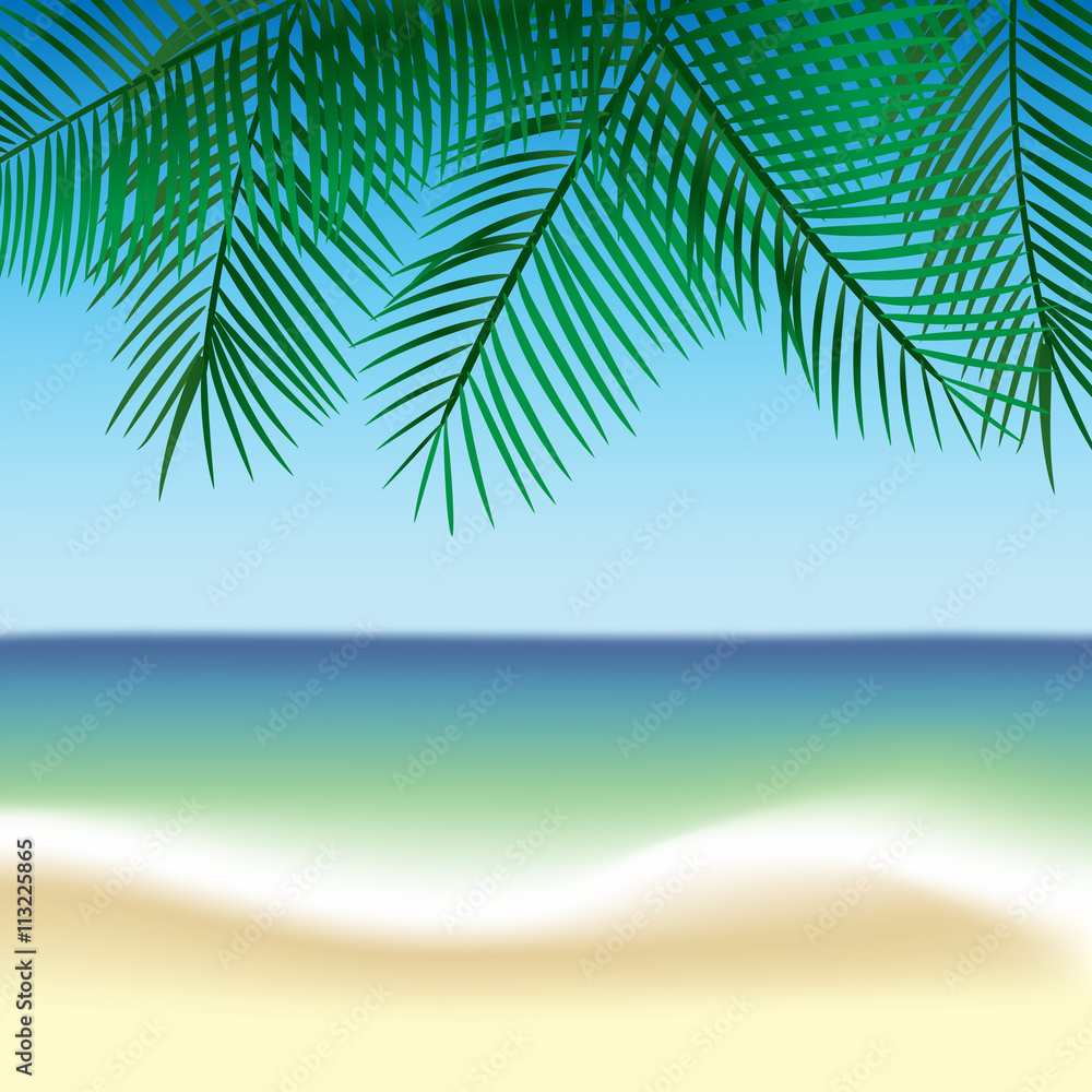 Palm leaves and beach