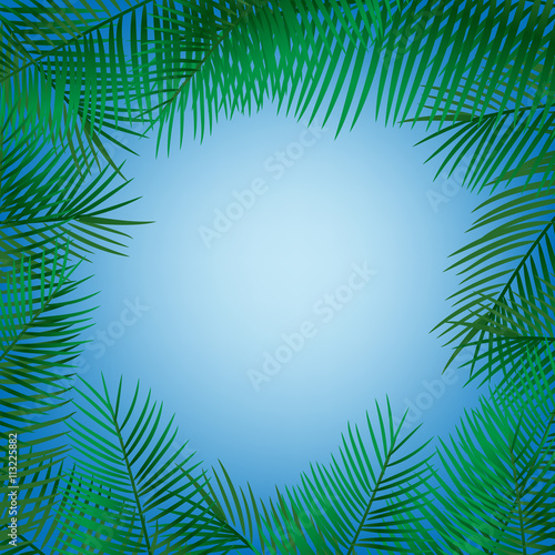 Frame of palm leaves