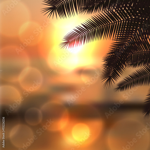 Sea sunset with palmtree leaves and light on lens © hamara