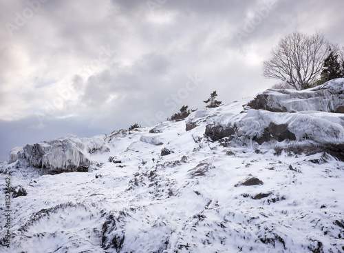 Wallpaper Mural USA, Massachusetts, Magnolia, Hill in winter Torontodigital.ca