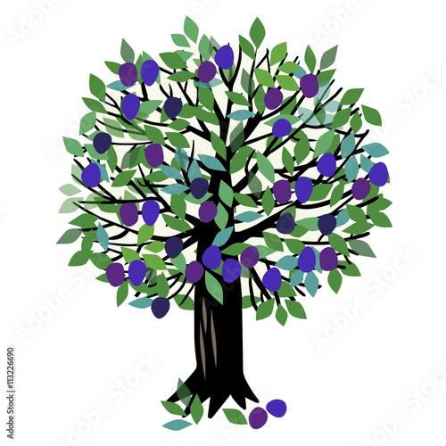 Illustration Plum tree