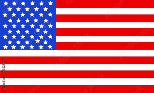 United State Of America flag isolated vector