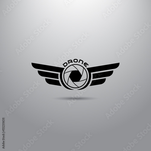 Quadrocopter business icon