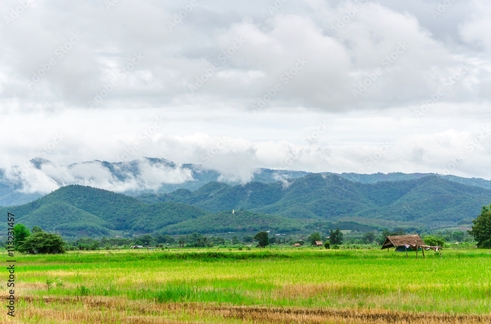 Mountains landscape and fog after rain,Rain mist floating on the mountain the nature of green season in Thailand