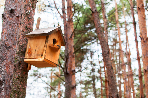 Wooden birdhouse on a pine tree.