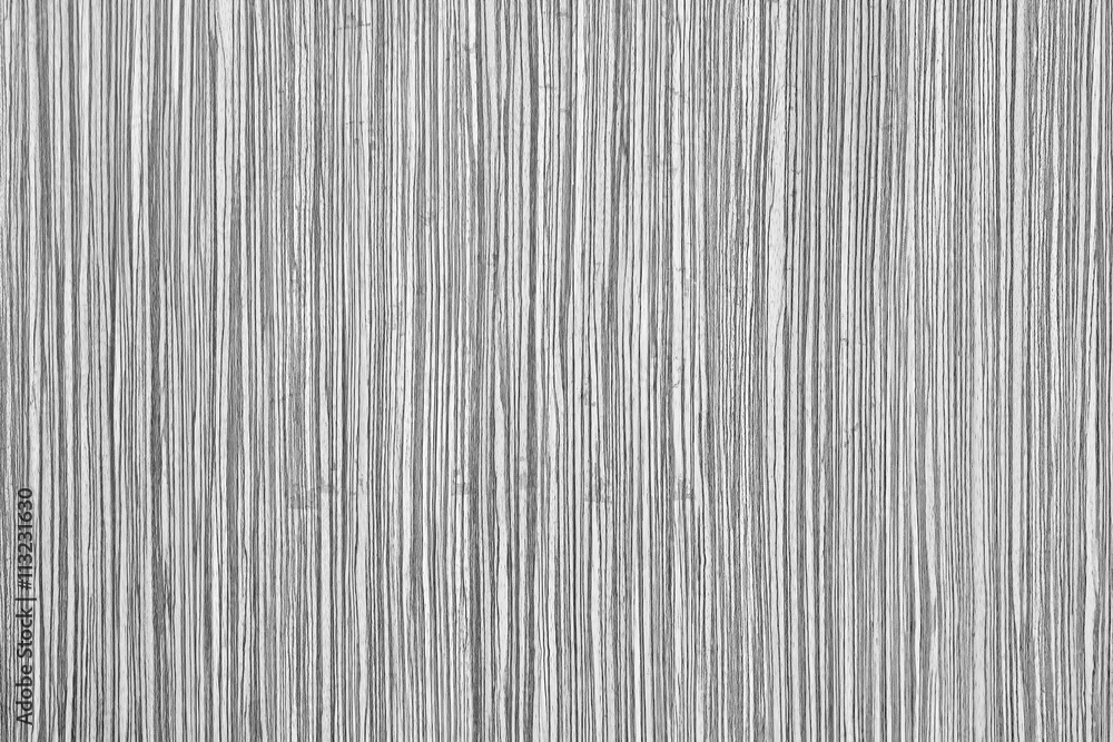 Obraz premium tree bark as background