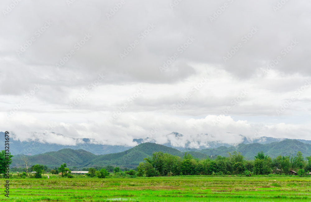 Mountains landscape and fog after rain,Rain mist floating on the mountain the nature of green season in Thailand