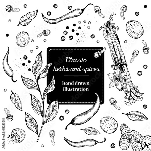 Vintage template. Ink hand drawn design with spice and herbs. Vector background with hand drawn herbs and spices