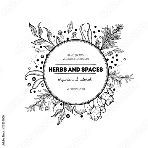 Vector card design with ink hand drawn spice sketch. Vintage illustration.