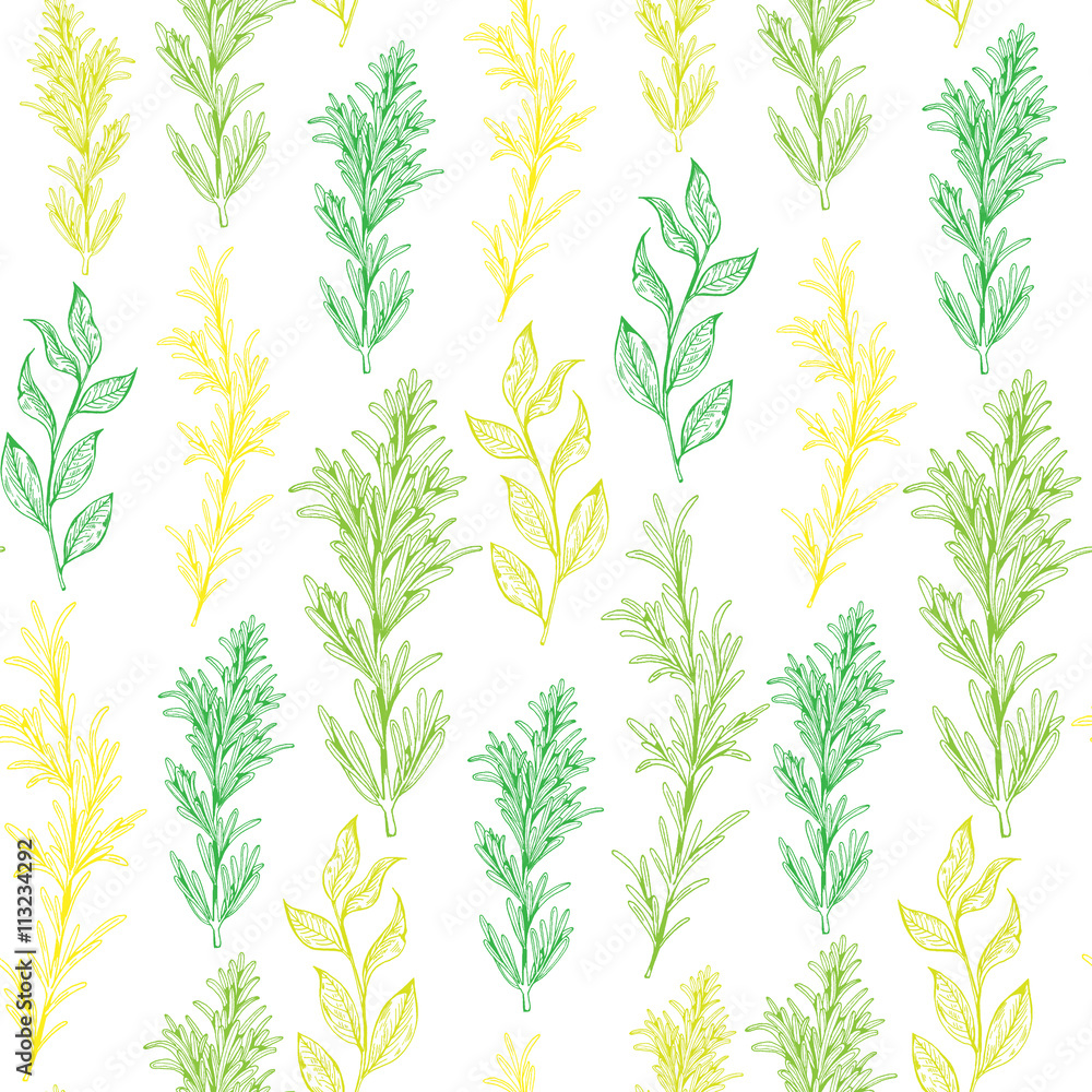Seamless vector pattern with herbs Seamless vector pattern with herbs