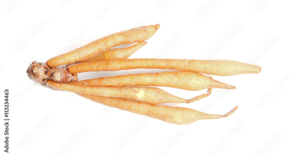 Lesser Galanga isolated on white background. Lesser Galanga isolated on white background.