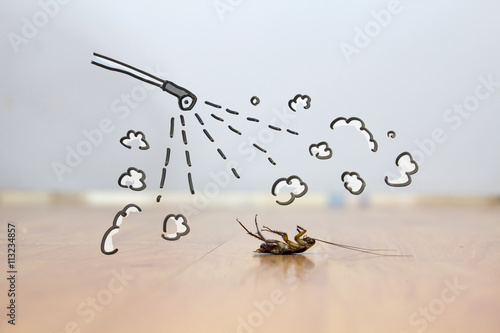 Spray on cockroach on floor , pest control concept