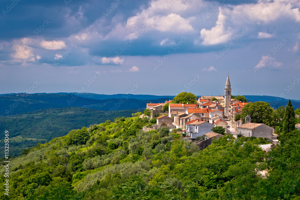 Village of Draguc in green landscape