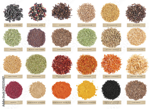 Set of different spices isolated on white background photo