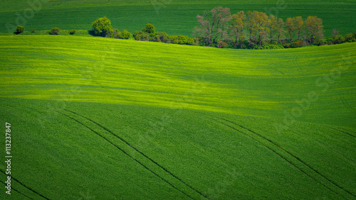 Meadow with sine wave horizon © mgserg