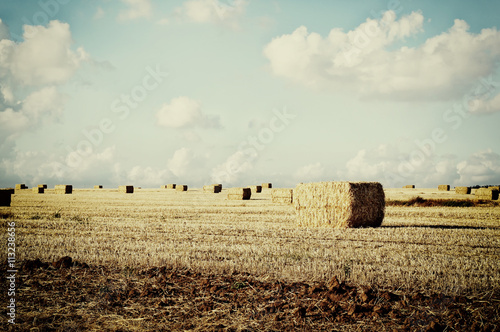 retro filtered image of image of gold wheat haystacks field