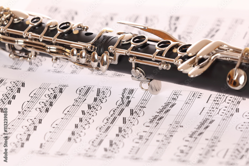 Obraz premium Clarinet