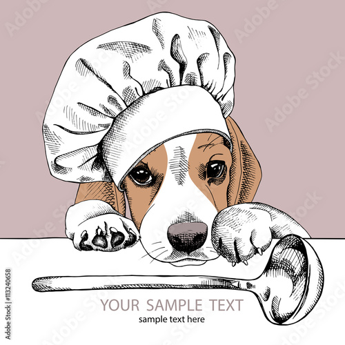 The poster with the image of dog Beagle in the hat of chef and with the ladle. Vector illustration.