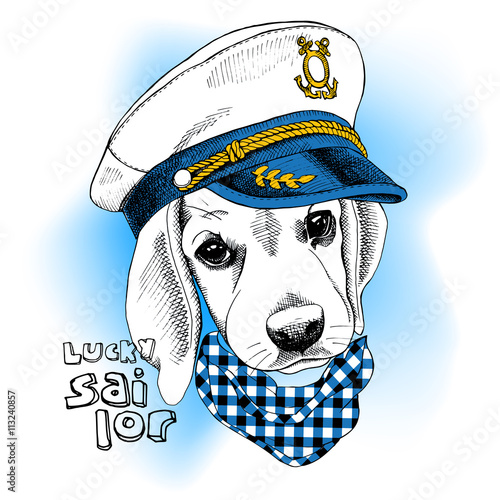 Image Portrait dog in a sailor's cap and in a cravat. Vector illustration.