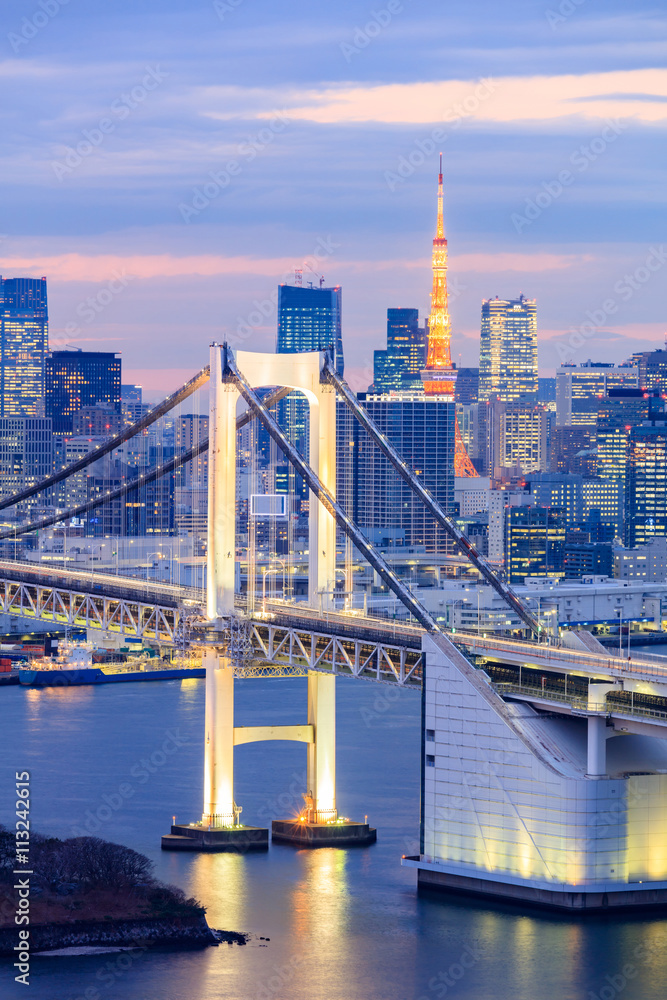 Obraz premium Tokyo skyline with Tokyo tower and rainbow bridge