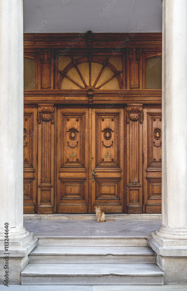 Cute street cat sitting in front of an old wooden ornate door