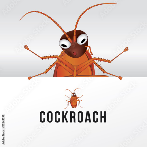 Vector illustration of cartoon cockroach.