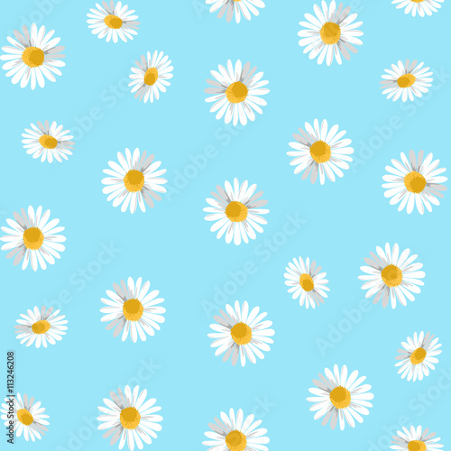 Seamless pattern with camomiles. Vector Illustration