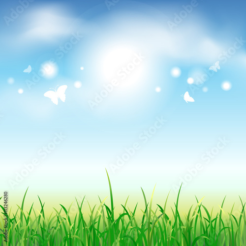 Summer background with green grass and butterflies. Vector illustration