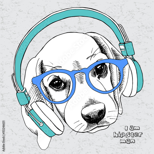Image dog (beagle) portrait with headphones and a bow. Vector illustration.