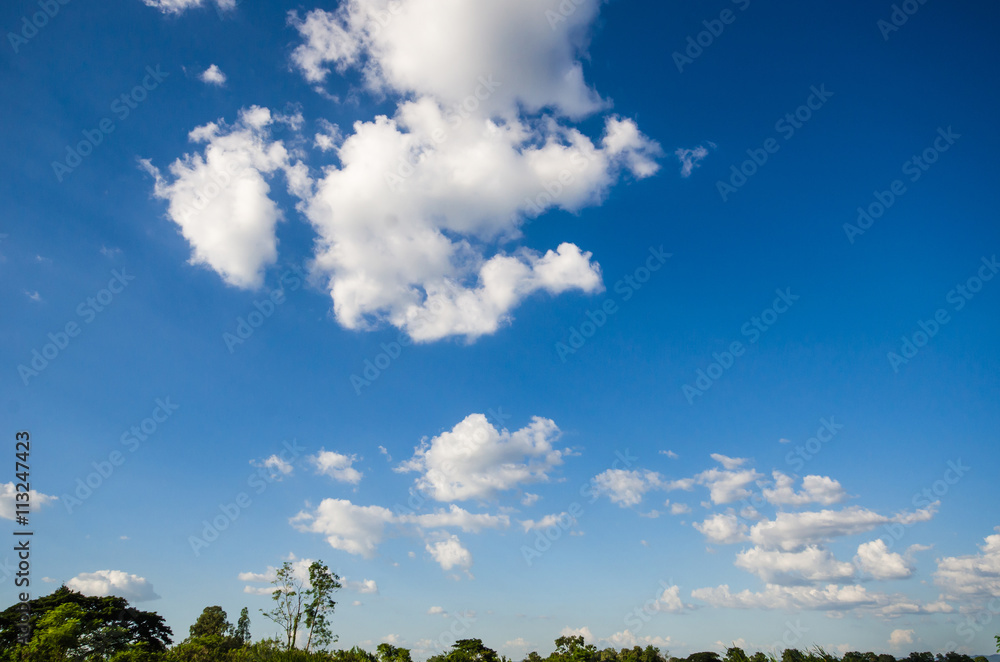 Obraz premium background of gradient blue sky with white cloud and green field, trees and grass field.